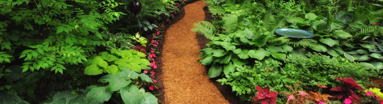 Blair Butterfly Gardens