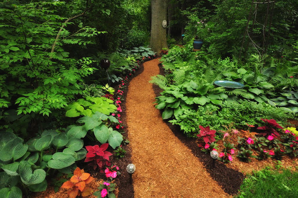 Blair Butterfly Gardens