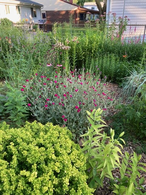 2024 Garden Walk15