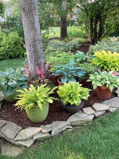 2024 Garden Walk16