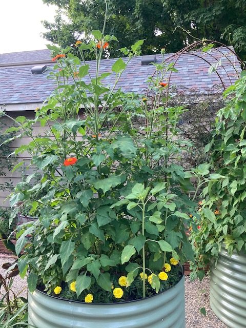 2024 Garden Walk20