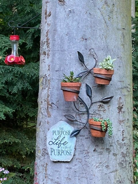 2024 Garden Walk22