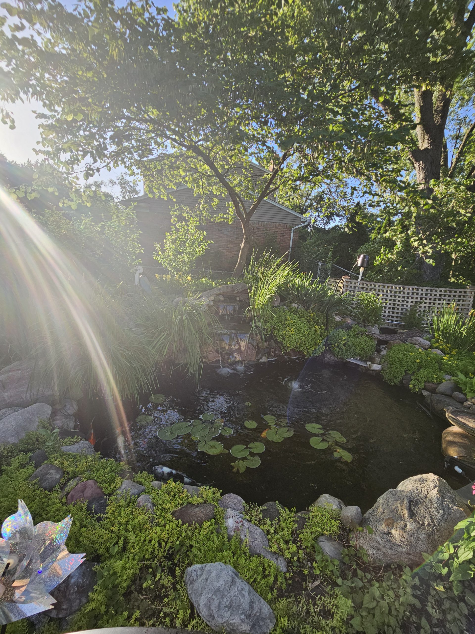2025 Garden Walk_12