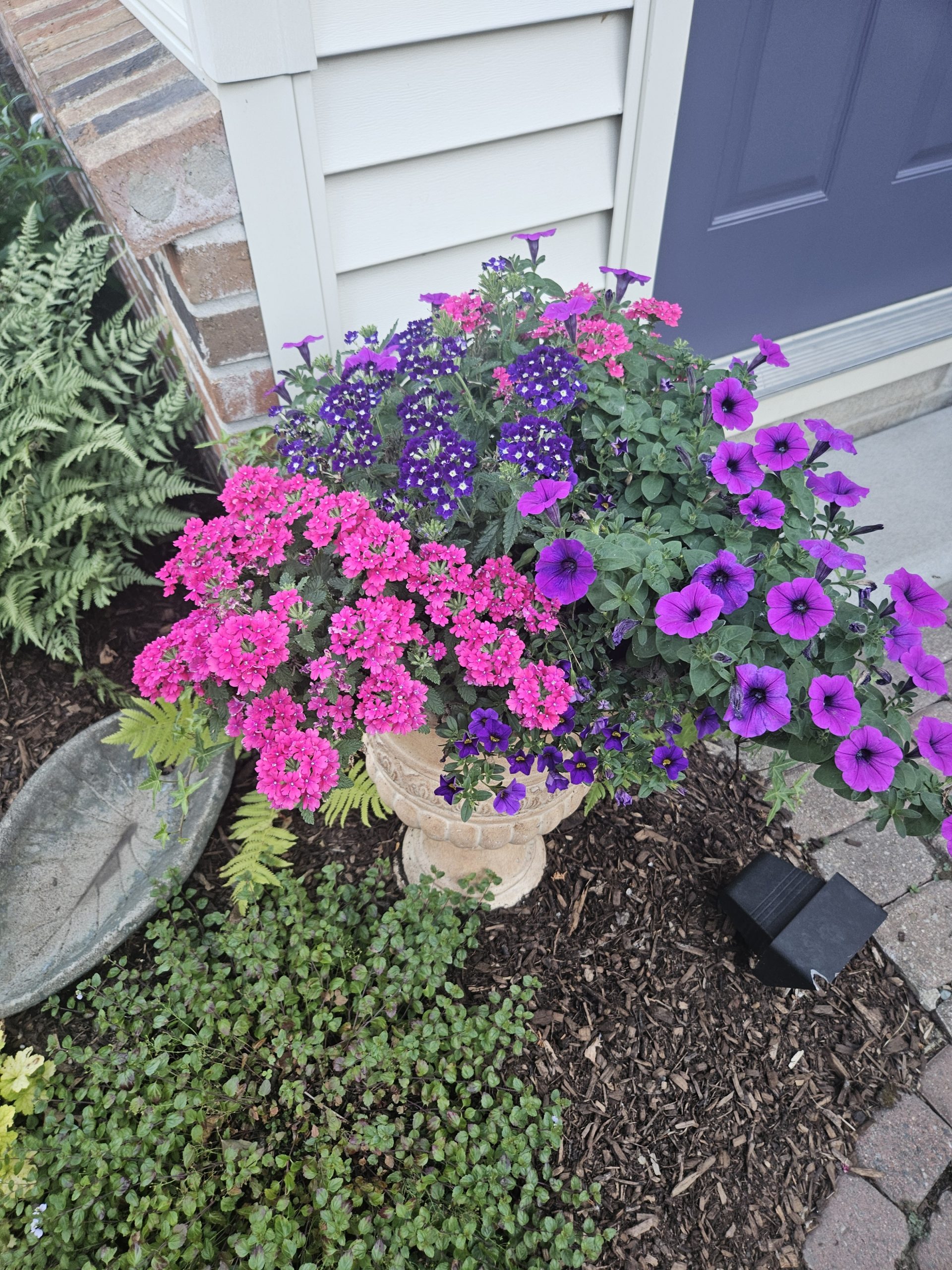 2025 Garden Walk_11