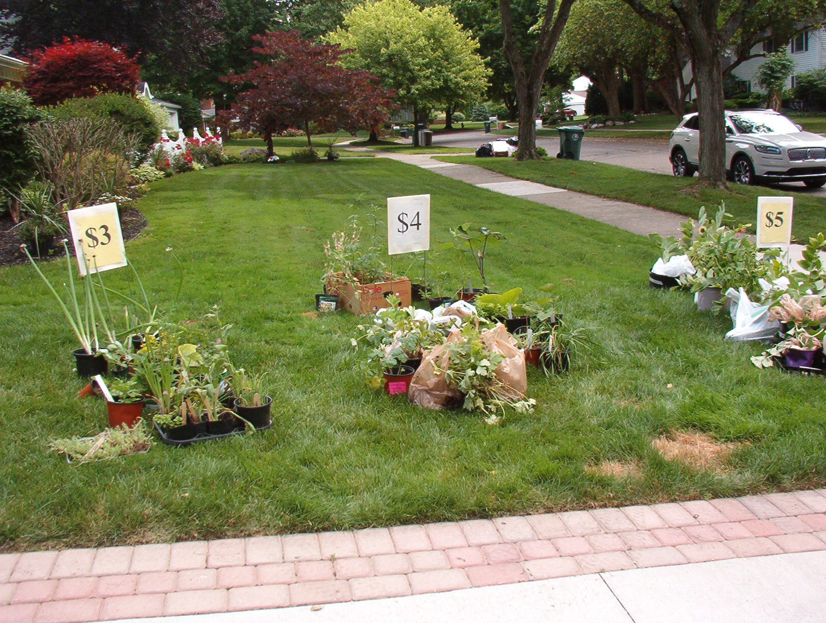 2025 Plant Sale_4